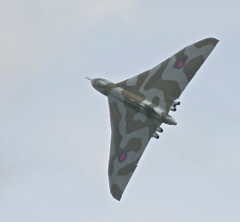 D7K_4894