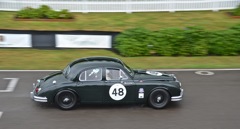 D7K_1935