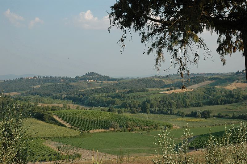 dsc_1330.jpg