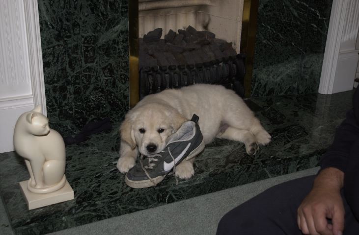 DSC_0006.JPG
