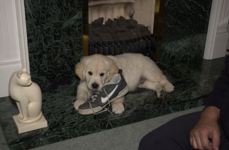 DSC_0007.JPG