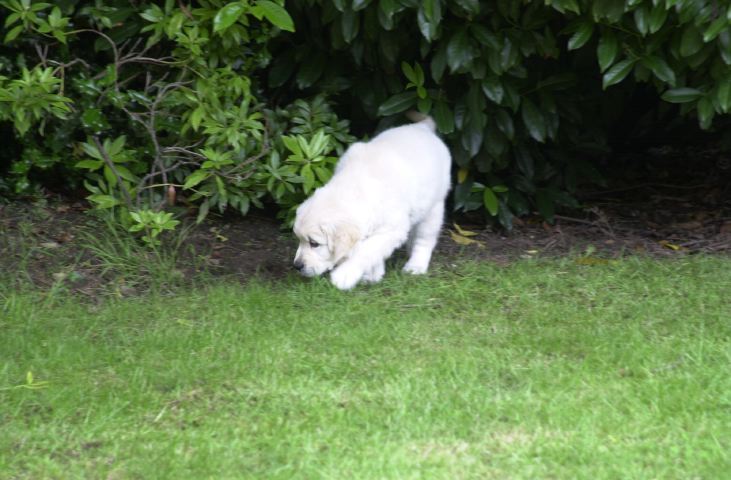 DSC_0012.JPG
