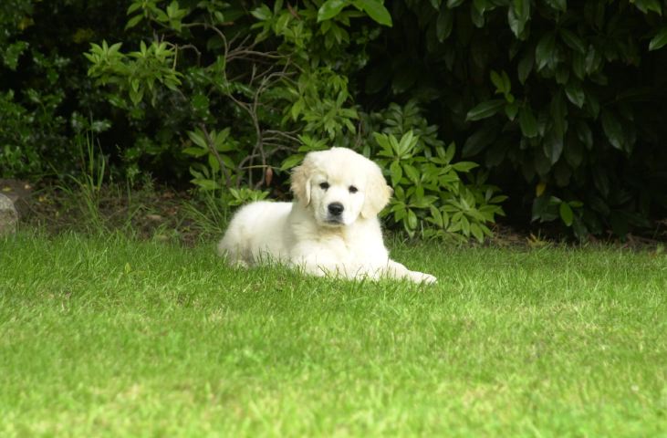 DSC_0013.JPG