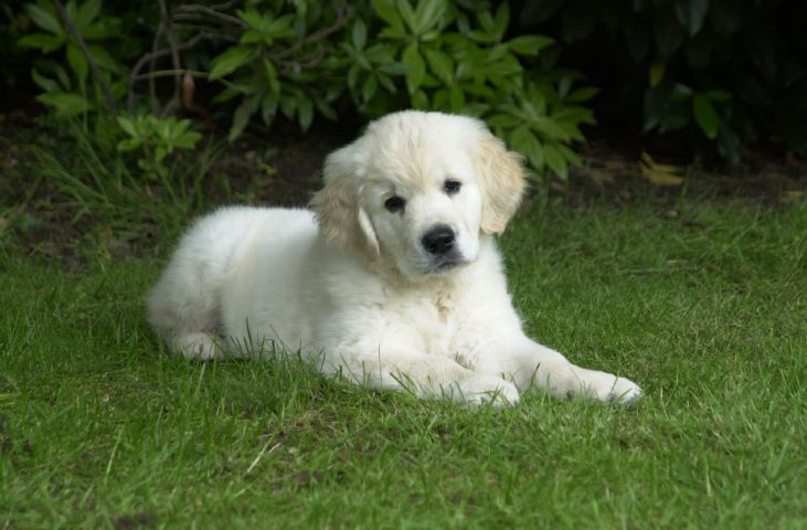 DSC_0014.JPG