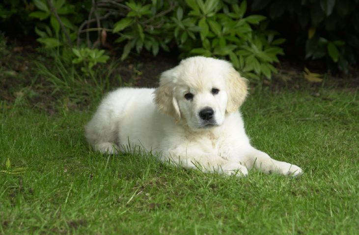 DSC_0015.JPG