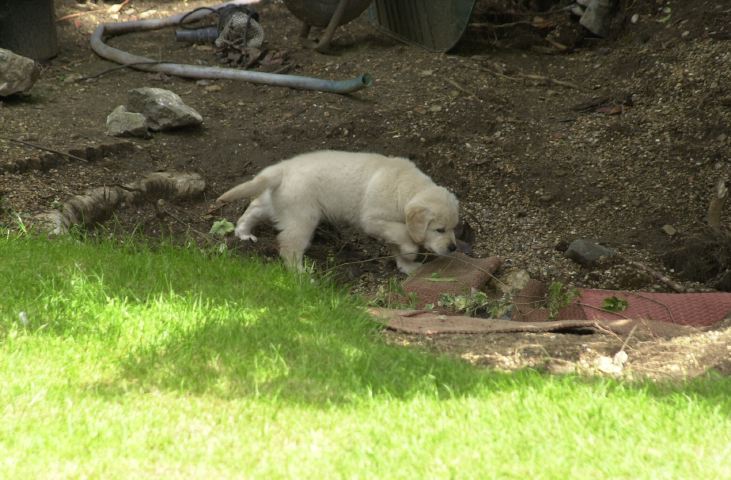 DSC_0017.JPG