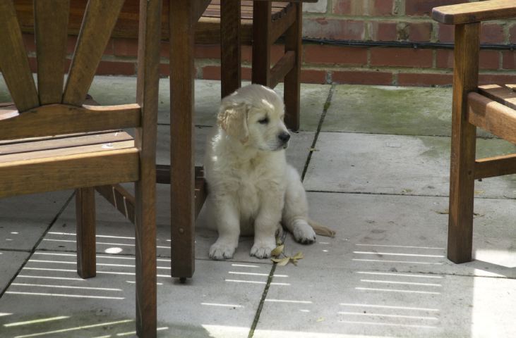 DSC_0018.JPG