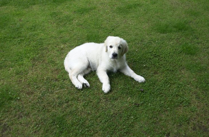 DSC_0010.JPG