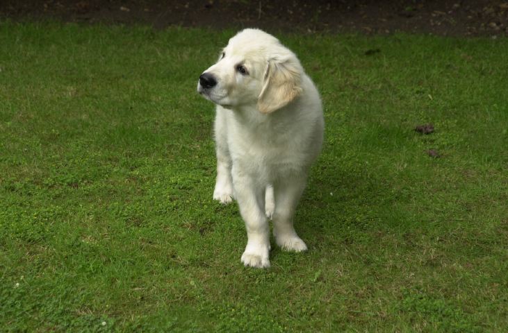 DSC_0018.JPG