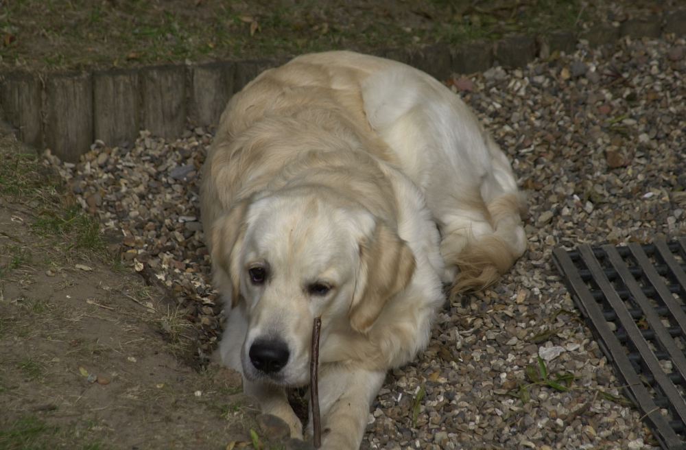DSC_0005.JPG