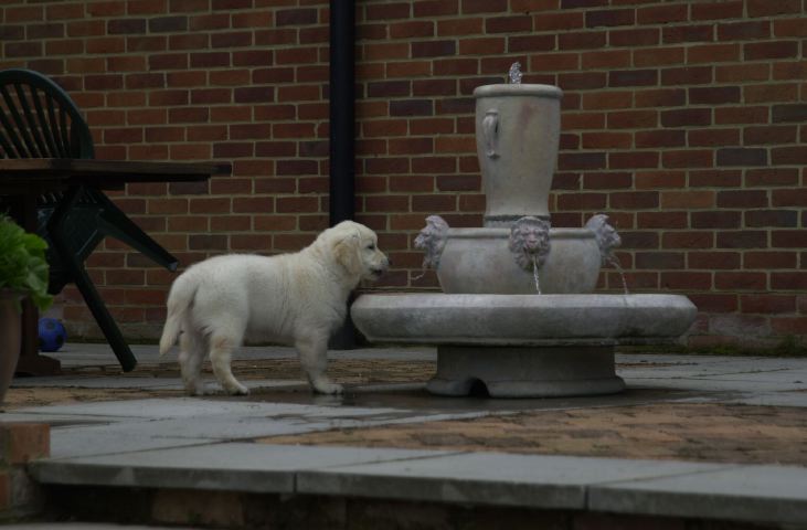 DSC_0005.JPG