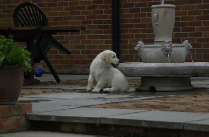 DSC_0006.JPG