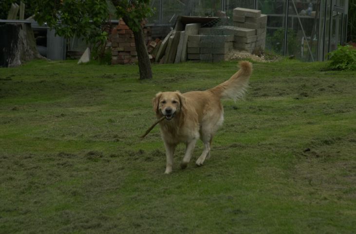 DSC_0007.JPG