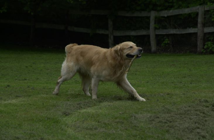 DSC_0010.JPG