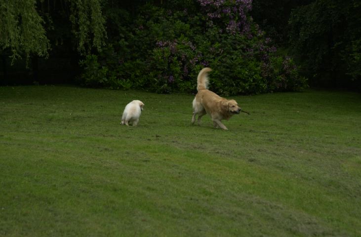 DSC_0013.JPG