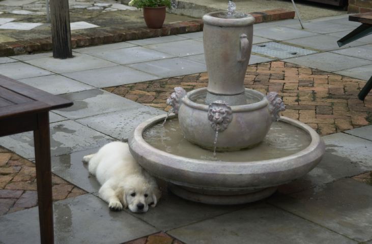 DSC_0016.JPG