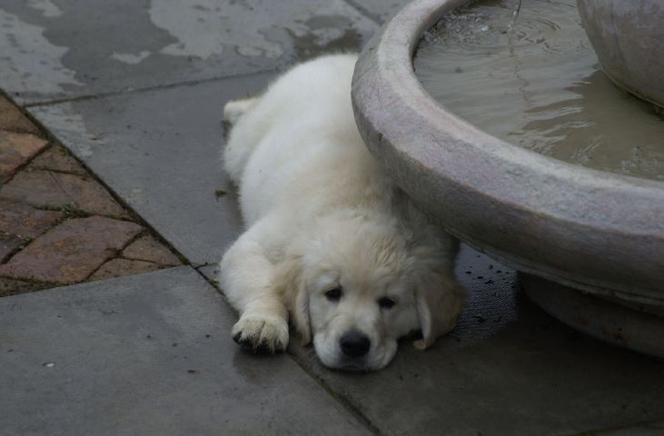 DSC_0017.JPG