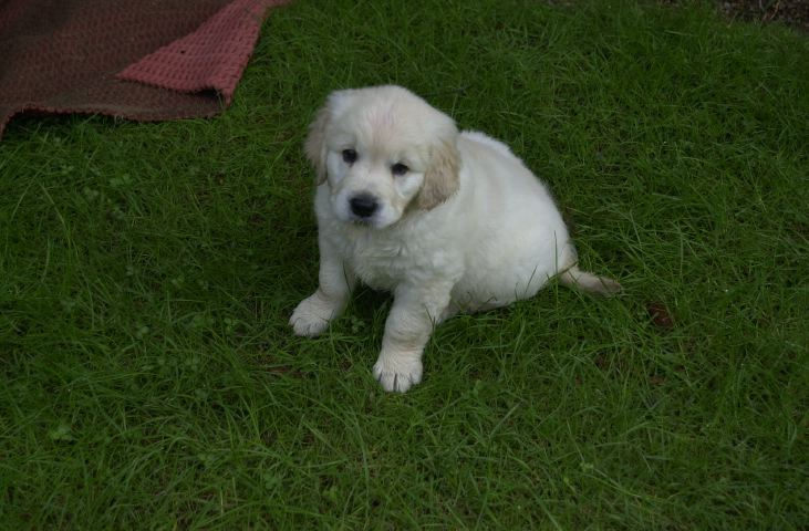 DSC_0001.JPG