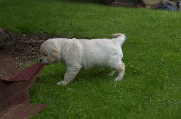 DSC_0002.JPG