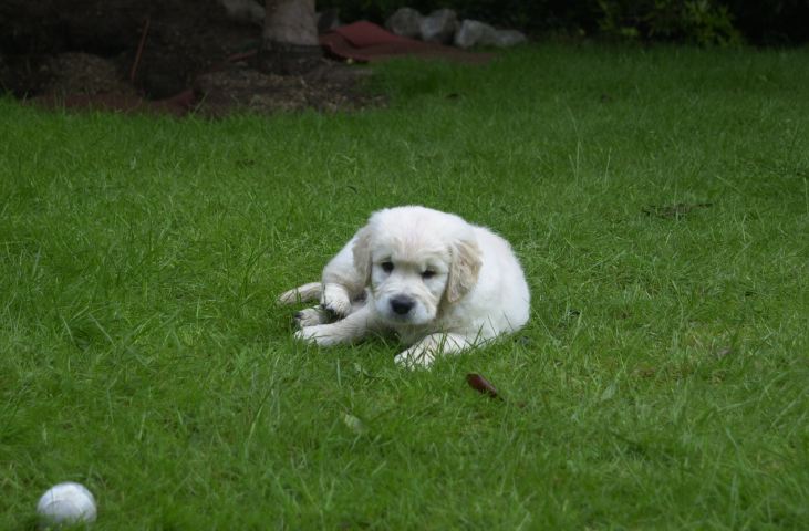DSC_0004.JPG