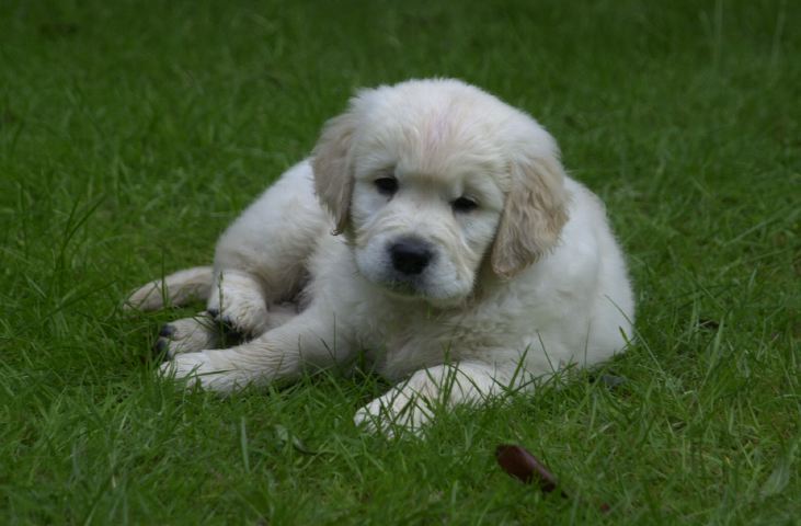 DSC_0005.JPG