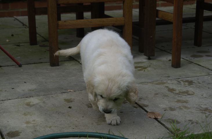 DSC_0007.JPG