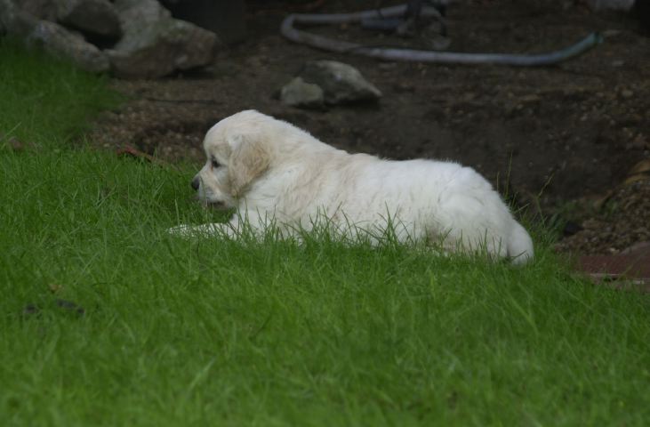 DSC_0008.JPG