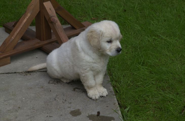 DSC_0009.JPG