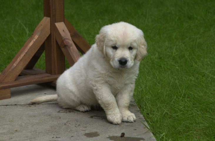 DSC_0010.JPG