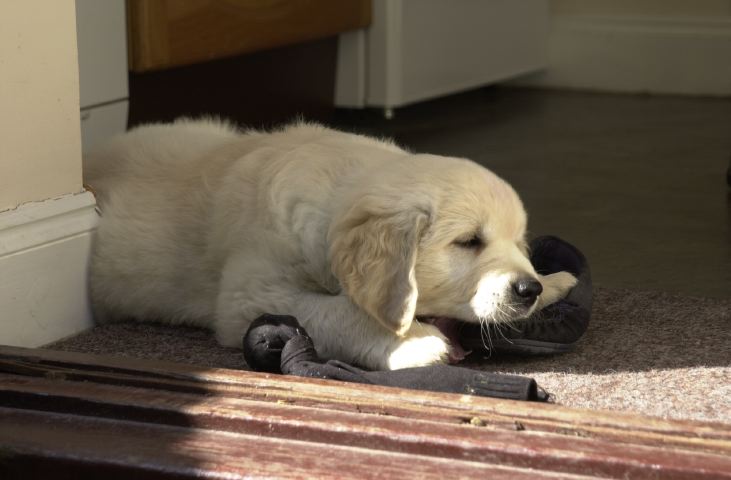 DSC_0011.JPG