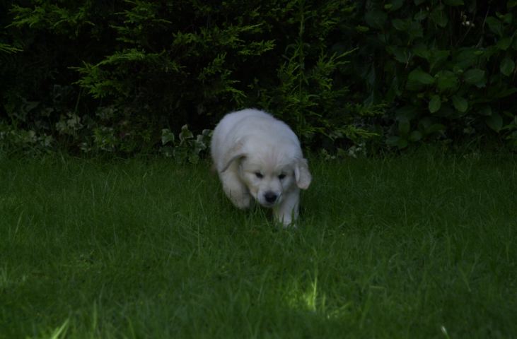 DSC_0014.JPG