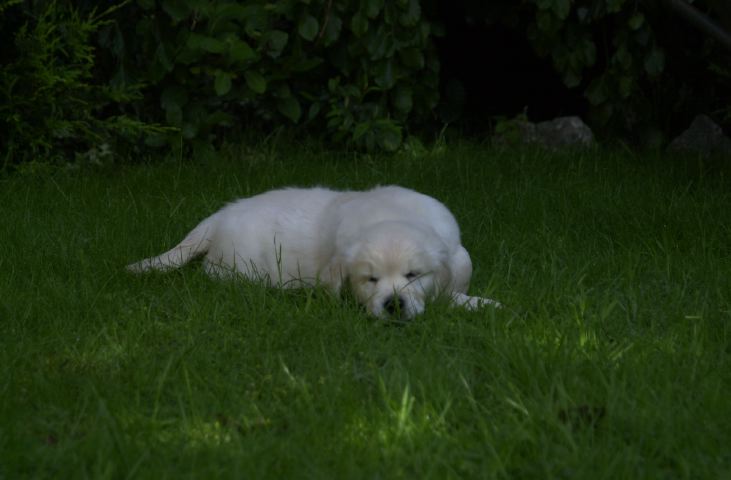DSC_0015.JPG