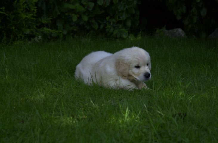 DSC_0016.JPG