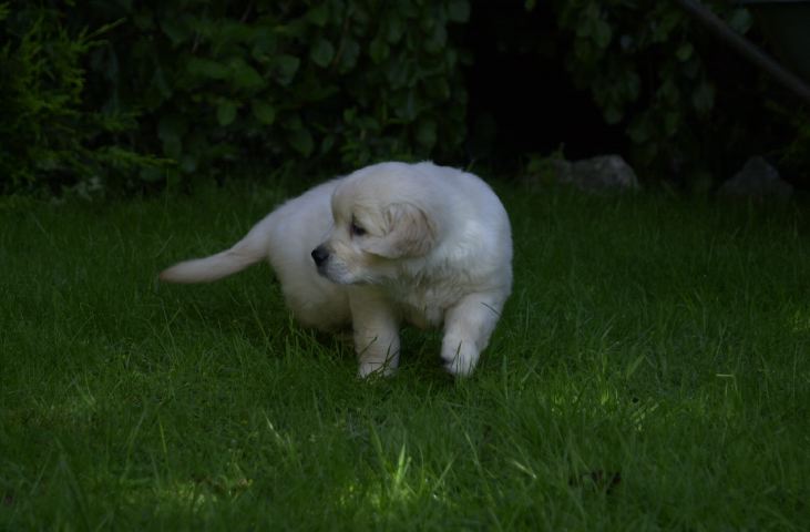 DSC_0017.JPG