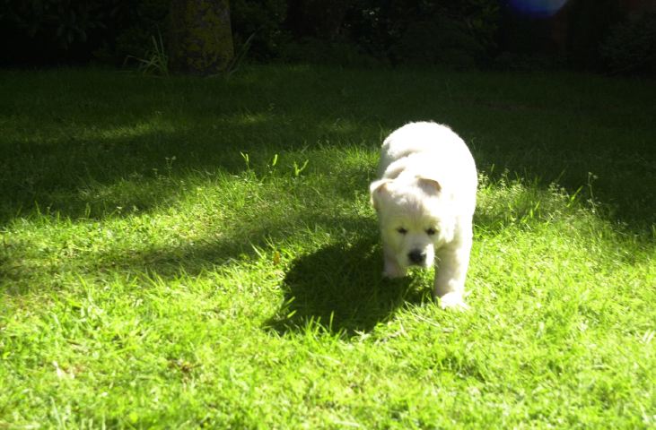 DSC_0018.JPG