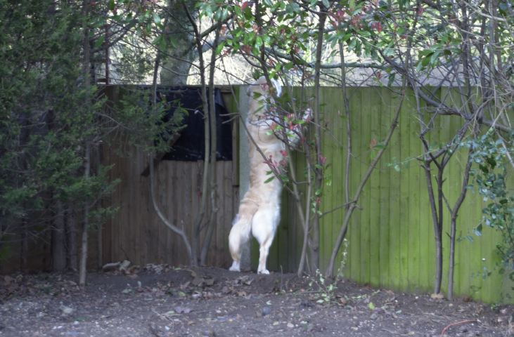 DSC_0006.JPG