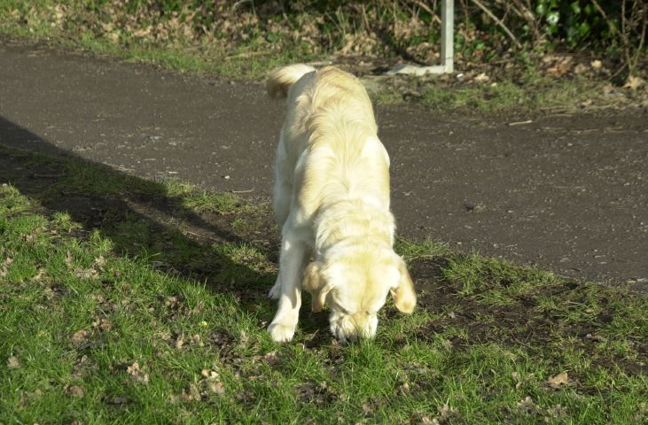 DSC_0011.JPG