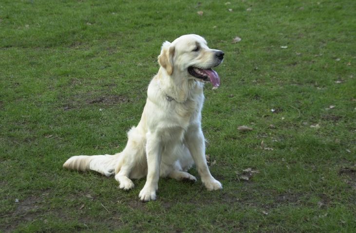 DSC_0017.JPG