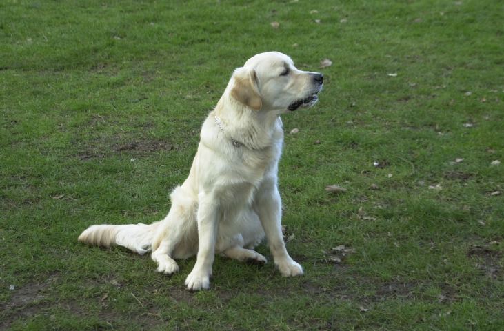 DSC_0018.JPG