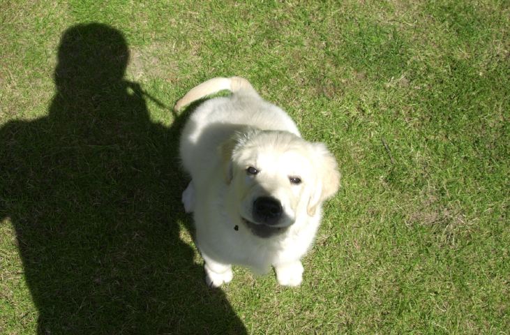 DSC_0002.JPG