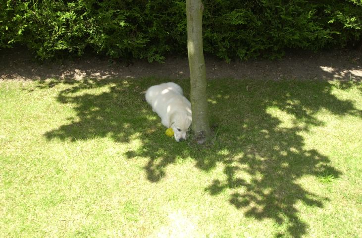 DSC_0003.JPG