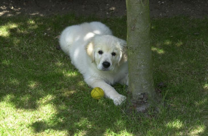 DSC_0004.JPG