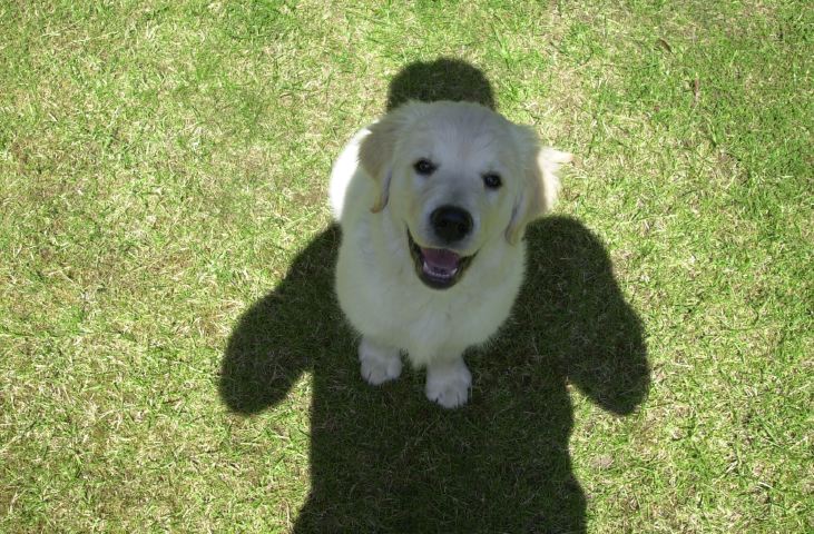 DSC_0007.JPG