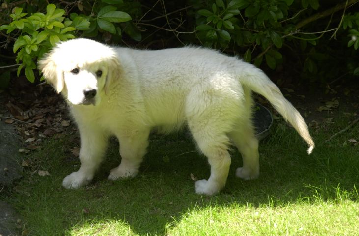 DSC_0009.JPG