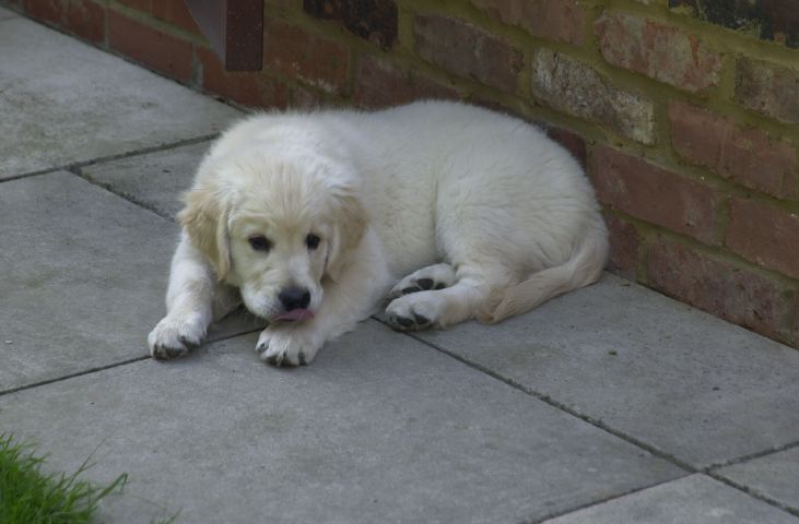 DSC_0010.JPG