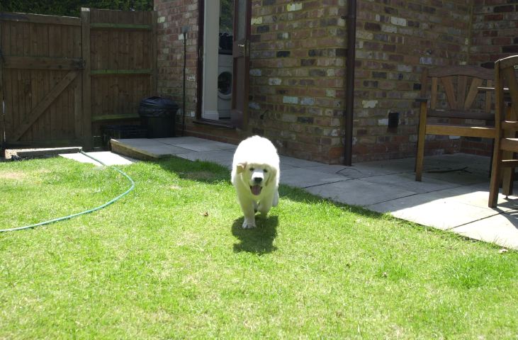 DSC_0011.JPG