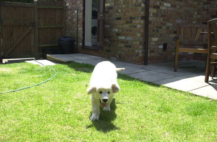 DSC_0012.JPG