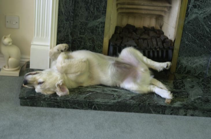 DSC_0001.JPG