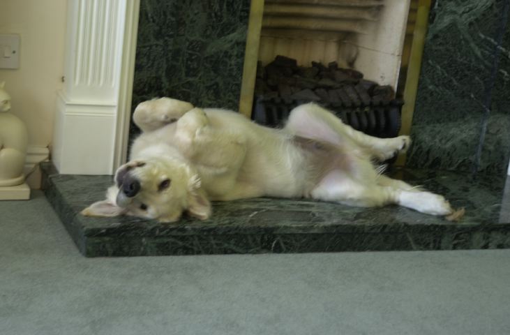 DSC_0002.JPG