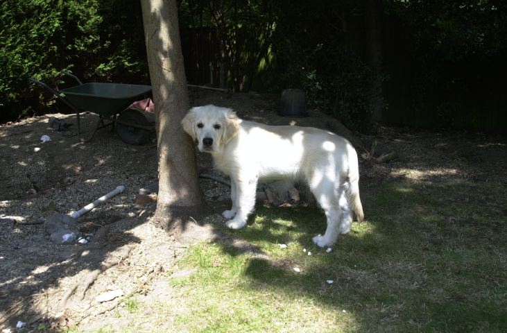DSC_0004.JPG